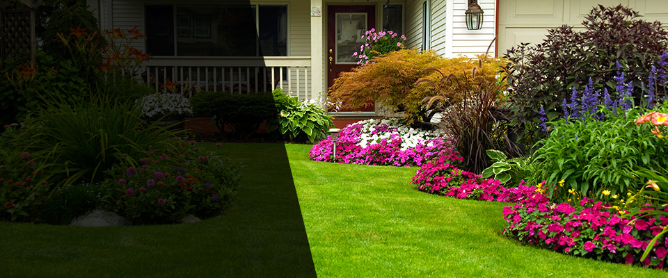 Louisa Landscapers