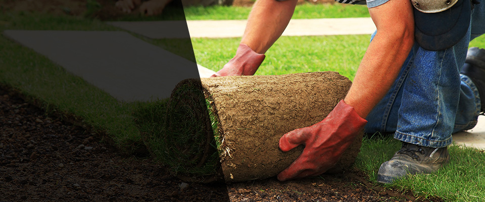 Louisa Landscapers